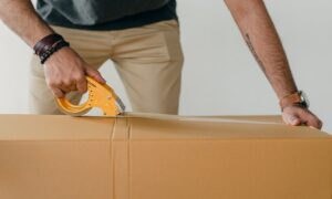 Como o case ‘Prata Fina’ pode ajudar você a decidir entre Magento e Woocommerce