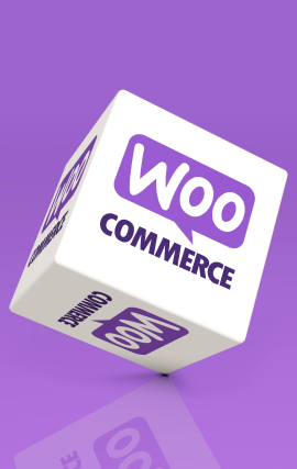 Tenho um modelo de negócio com muitas especificidades